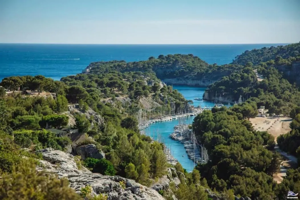 Vue Mer Le Panoramique Vieux-Port De Marseilles Frankrijk
